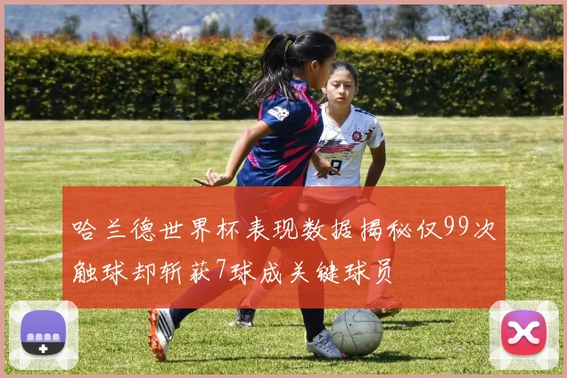哈兰德世界杯表现数据揭秘仅99次触球却斩获7球成关键球员