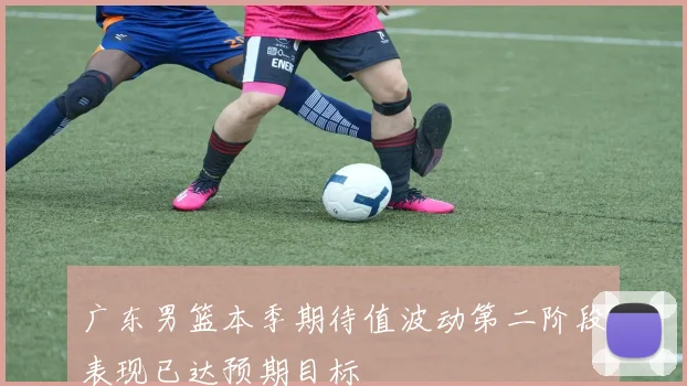 广东男篮本季期待值波动第二阶段表现已达预期目标